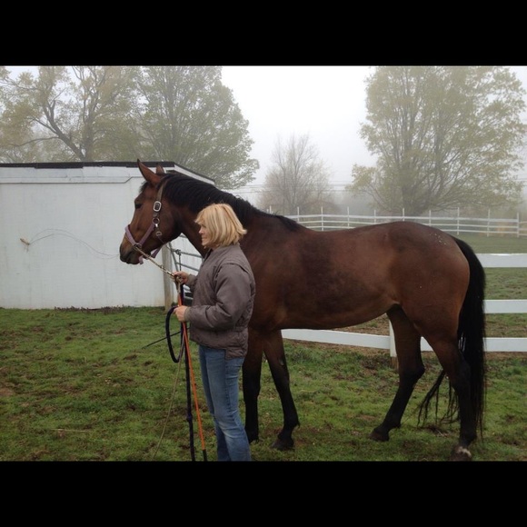 Meet your Posher, Gail - Picture 11 of 14